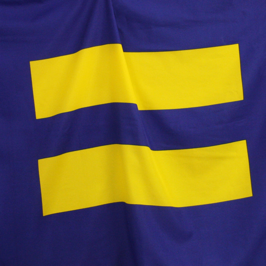 Image 2 of Equality Flag