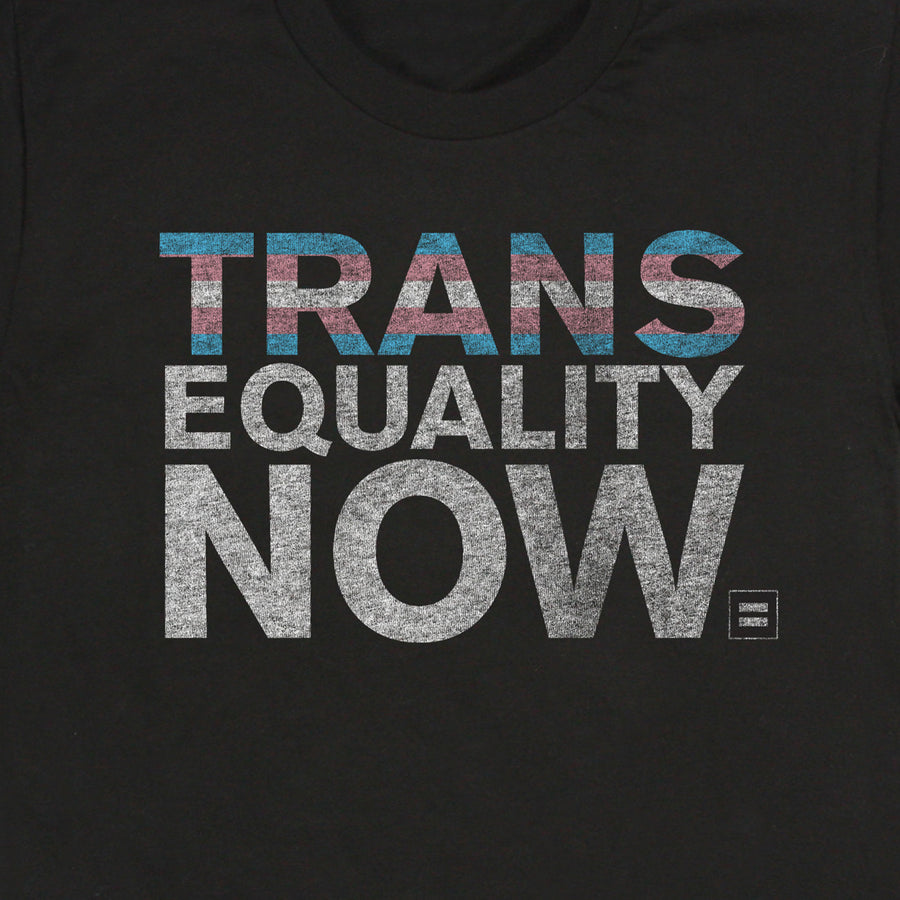 Image 2 of Trans Equality Now T-Shirt