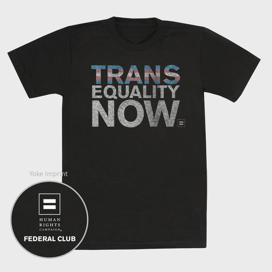 Image 1 of Trans Equality Now T-Shirt Federal Club Version