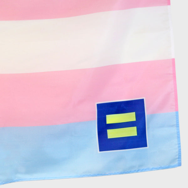 Alternate Picture of Trans Equality Flag
