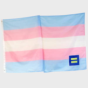 Thumbnail 1 of Trans Equality Flag