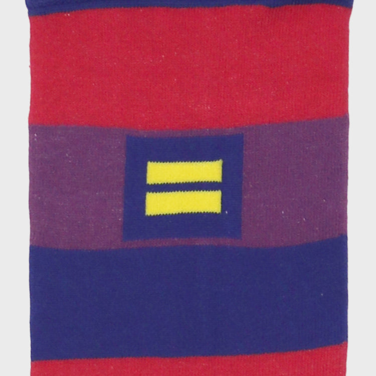 Image 2 of Bisexual Pride Socks