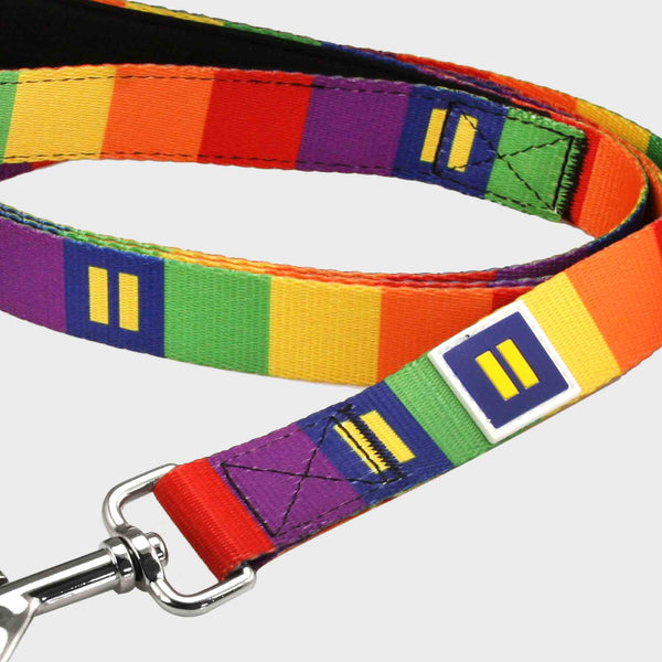 Alternate Picture of Rainbow Pride Dog Leash