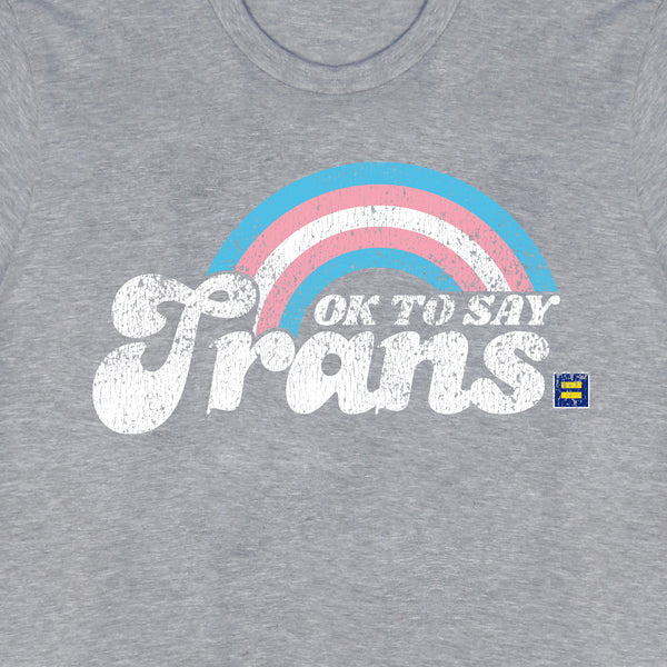 Alternate Picture of OK to Say Trans T-Shirt