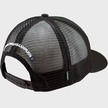 Image 2 of Trans Flag Structured Cap