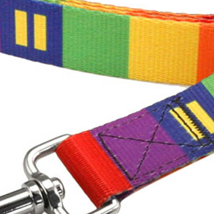 dog pet leash human rights campaign rainbow block