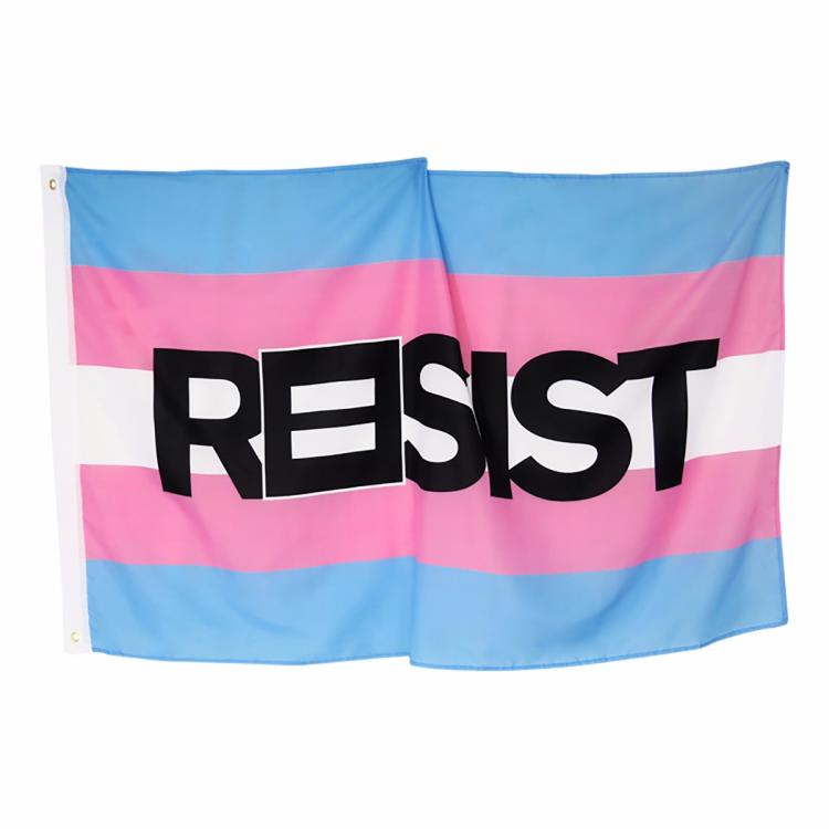 Transgender Pride Resist Flag