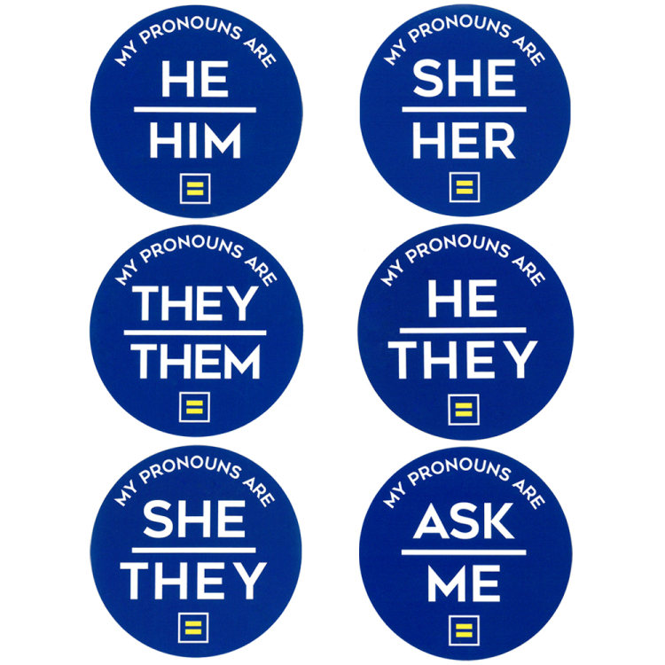 Pronoun Sticker He She They Stickers Hrc 2770