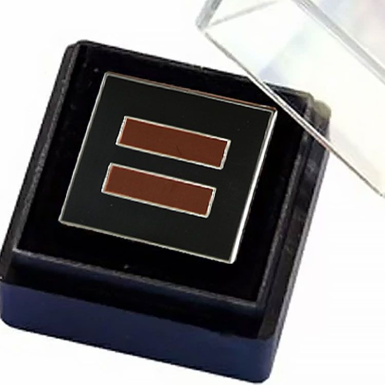 Black & Brown Logo Lapel Pin